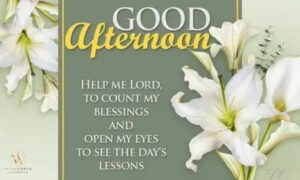 Afternoon blessings with peaceful flowers and warm sunlight for a calm and blessed day